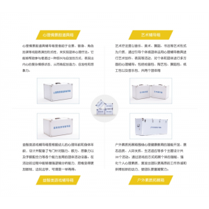 智心 心理质询服务 团体活动室-心理情景剧道具箱 益智类游戏辅导箱艺术辅导箱