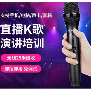 Takstar得胜TS-K201无线麦克风直播K歌户外音响会议舞台唱歌话筒