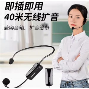 Takstar得胜HM-200W小蜜蜂无线头戴麦克风教师用促销导游会议耳麦
