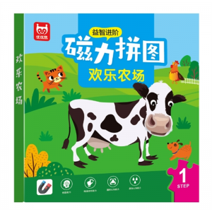 儿童进阶磁性拼图智力开发动手动脑幼儿早教启蒙认知磁力玩具批发