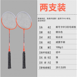 羽毛球拍儿童双拍小学生初学耐用型羽毛球排拍子羽毛球拍 2支套装
