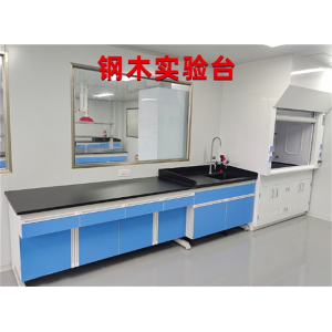 实验室工作台全钢中央化验台钢木操作台试验仪器水槽台耐酸碱桌子