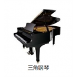 校园音乐教育全系列乐器键盘乐器三角钢琴