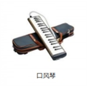 校园音乐教育全系列乐器键盘乐器口风琴