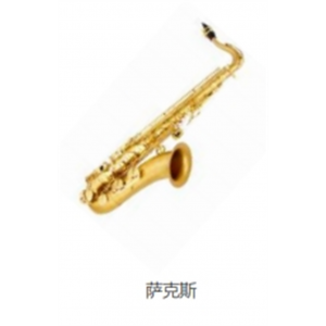 校园音乐教育全系列乐器吹奏乐器萨克斯