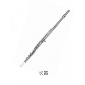 校园音乐教育全系列乐器吹奏乐器长笛