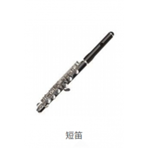 校园音乐教育全系列乐器吹奏乐器短笛