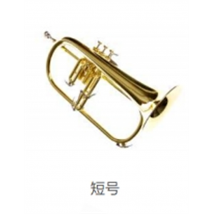 校园音乐教育全系列乐器吹奏乐器短号
