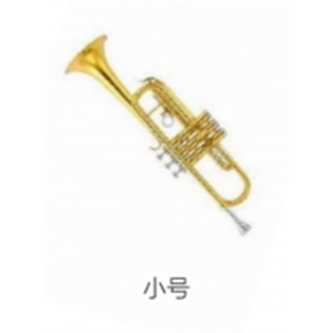 校园音乐教育全系列乐器吹奏乐器小号
