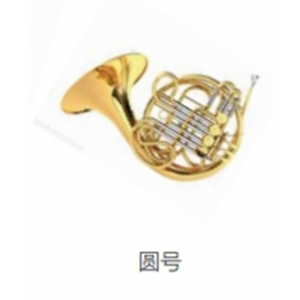 校园音乐教育全系列乐器吹奏乐器圆号