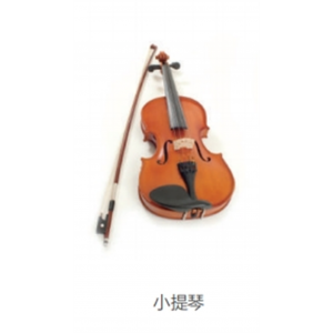 校园音乐教育全系列乐器弦乐小提琴