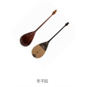 校园音乐教育全系列乐器弹拨乐器冬不拉
