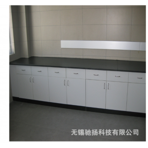 生产优质全木实验台 化学操作台 实芯理化板台面刨花板柜体