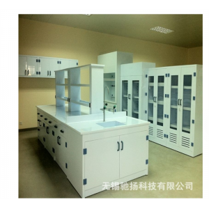 生产优质PP实验台 PP操作台 陶瓷板板台面 PP导轨 PP拉手铰链