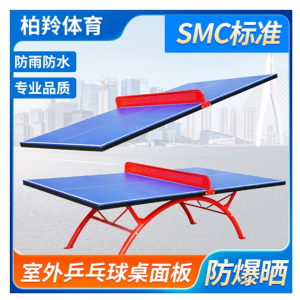 室外乒乓球台面板SMC室内家用学校标准比赛训练乒乓球桌面厂家