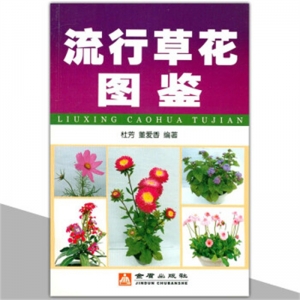 流行草花图鉴金盾出版社