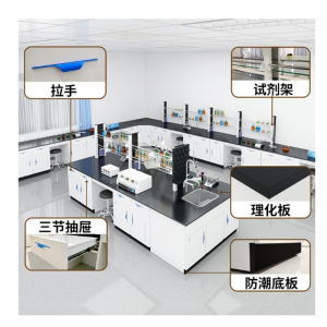 全钢实验台化验室试验台理化板中央台钢木边台实验室实验台FLSQGSY0662