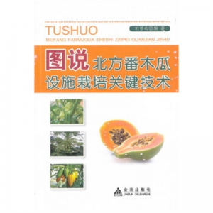 图说北方番木瓜设施栽培关键技术金盾出版社