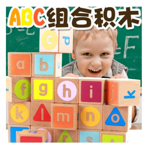 儿童早教正方体组合积木26个英文字母六面画实木榉木大积木益智