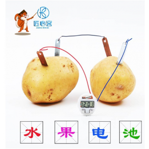 水果发电儿童科学实验手工diy小发明制作生物土豆发电材料教具