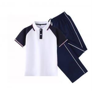 夏季中小学生短袖校服休闲透气运动班服夏装蓝白棉T 高中校服套装