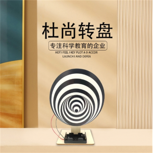 杜尚转盘 儿童小制作手工diy小学生STEAM实验材料视觉错觉益智玩具