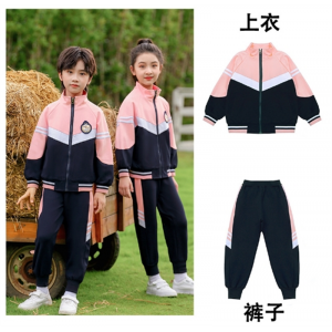 秋季校服儿童运动两件套幼儿园毕业季班服团体班服演出