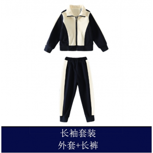 小学生春秋季校服幼儿园夏季园服男女孩师生团体毕业季班服运动服