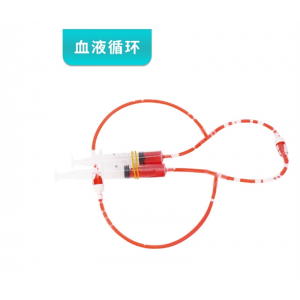 人体血液循环系统模型 diy科技小制作stem科学实验教具创客材料包