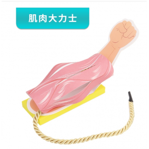 肌肉大力士diy手工小制作 五年级上科学实验手臂前臂抬起科普玩具