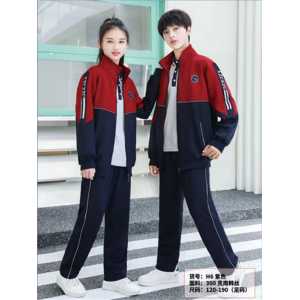 老师学生时尚款式小学初中高中校服套装学生春秋季班服学院风服装园服