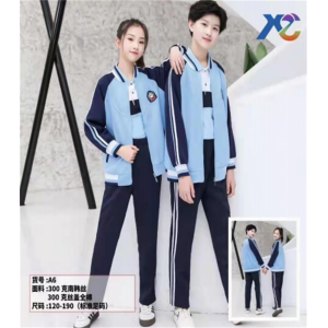 时尚款式小学初中高中校服套装学生春秋季班服学院风服装园服老师学生