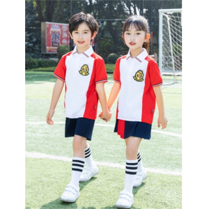 夏款儿童短袖运动套装班服毕业照夏季表演服小学生校服