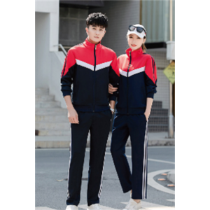 学校中小学高中生大学生校服裤子秋季外套班服套装两色