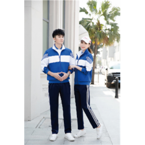 学校校服秋季外套裤子班服套装两色中小学高中生大学生校服