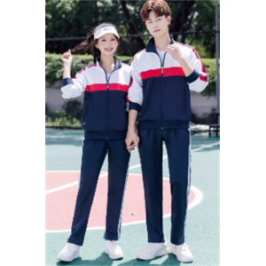 学校校服秋季中小学高中生大学生校服外套裤子班服套装两色