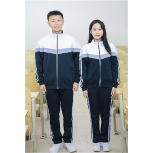 春秋季两色中小学高中生校服外套裤子班服套装