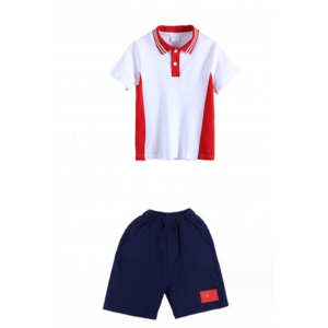 红色男童（送胸章） 童装幼儿园园服夏装新款儿童休闲班服蓝色短袖套装小学生运动校服