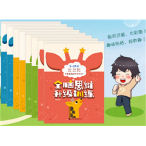 幼儿园启蒙益智早教专注力训练左右脑智力开发书籍全脑思维升级训练