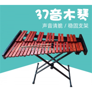 新品37音木琴幼教儿童玩具奥尔夫打击乐器教学用具木琴木质敲琴