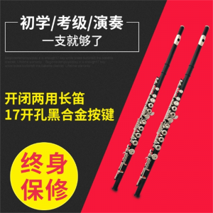 厂家批发哈麦伦长笛 17开孔黑合金键长笛 初学演奏表演长笛