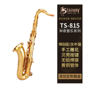 斯达威成人款儿童初学乐队演奏手工雕花黄铜降B调次中音萨克斯