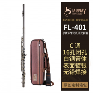 长笛管乐队演奏初学笛子专业乐器成人学生镀银长笛斯达威
