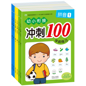 幼小衔接冲刺100学前练习幼儿园和家庭适用