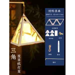 新年古风灯笼手工diy花草纸儿童手提中式发光花灯材料包元旦春节