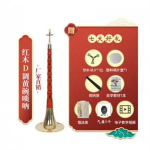 唢呐乐器全套d调演奏专业初学者入门大小号喇叭D调红木乌木黑檀木