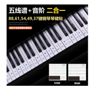 88/61/54钢琴透明彩色贴纸电子琴键盘手卷钢琴键贴简谱音阶贴纸