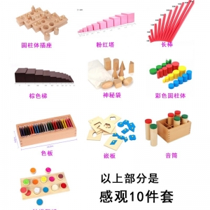 家庭版蒙氏教具10件套蒙台蒙特梭利套装1-3岁S儿童早教L益智玩具幼儿园