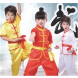 幼儿园辅助用品舞蹈服装系列武术练功服