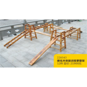 幼儿园户外游乐设施儿童户外碳化木系列碳化木体能训练攀登架 220343